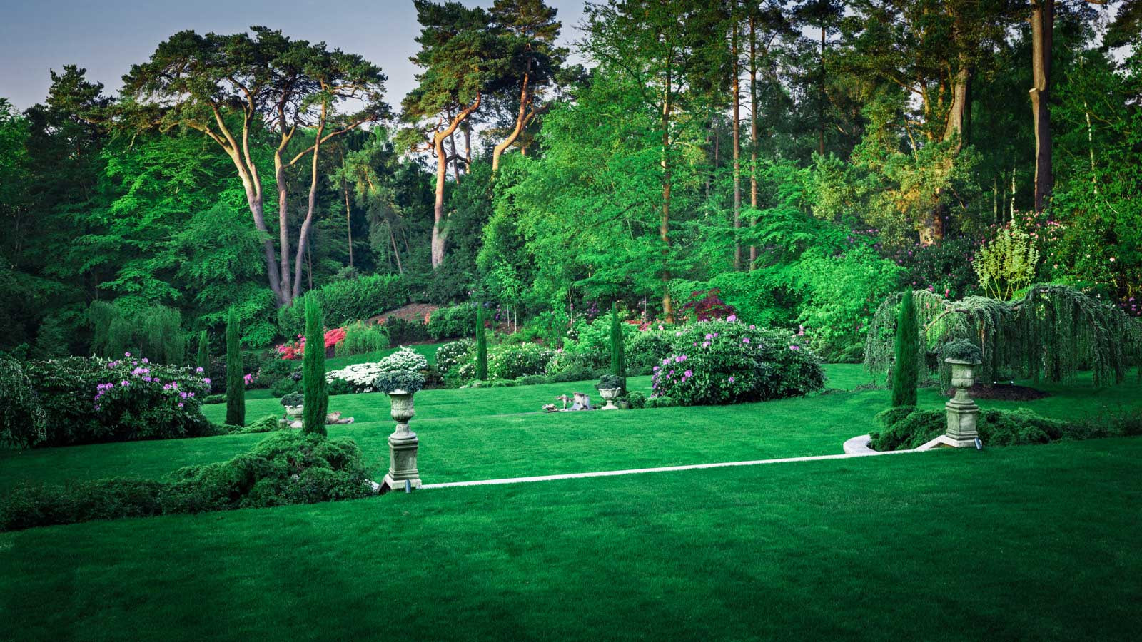 Суррей Времена Года