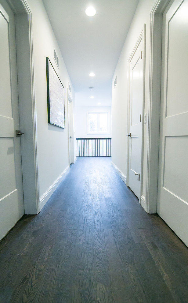 Hallway - transitional hallway idea