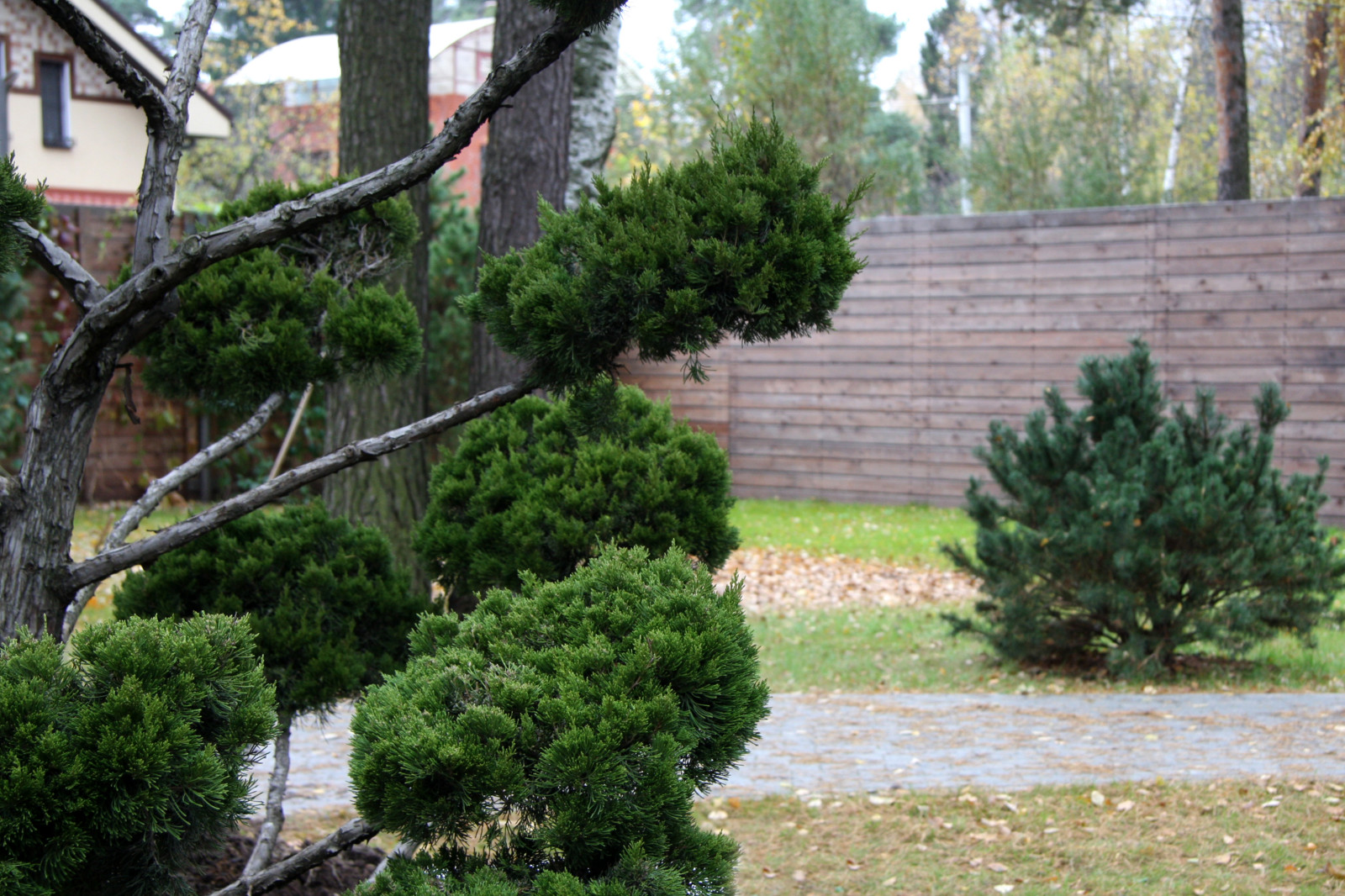 Мощеный двор