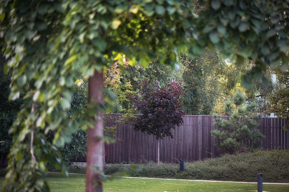 Успенский Лес