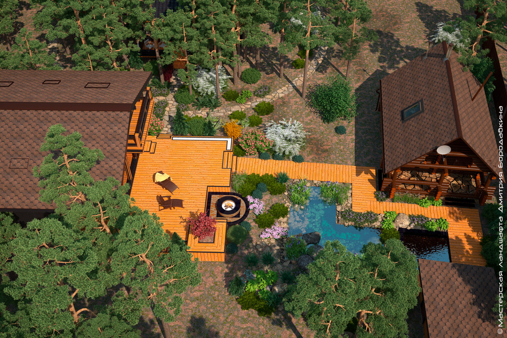 Утро в сосновом лесу