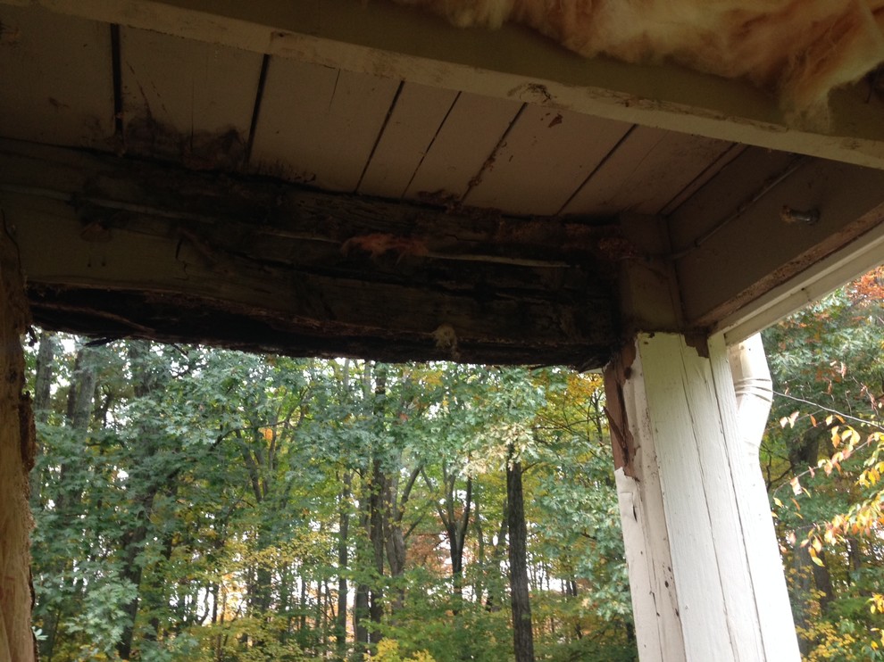 Ant Damage and Water Damage Harvard, MA
