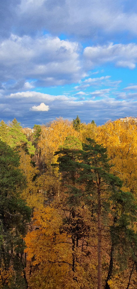 Двухуровневая квартира в Подмосковье