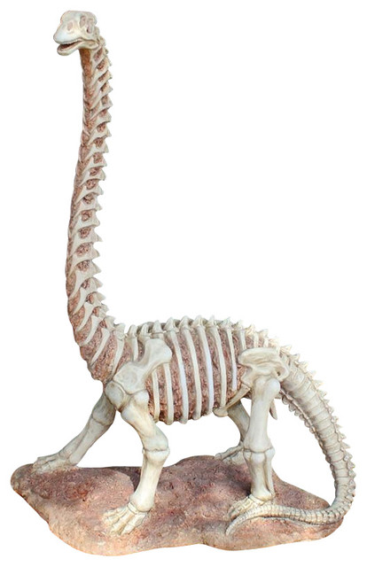 brachiosaurus skeleton