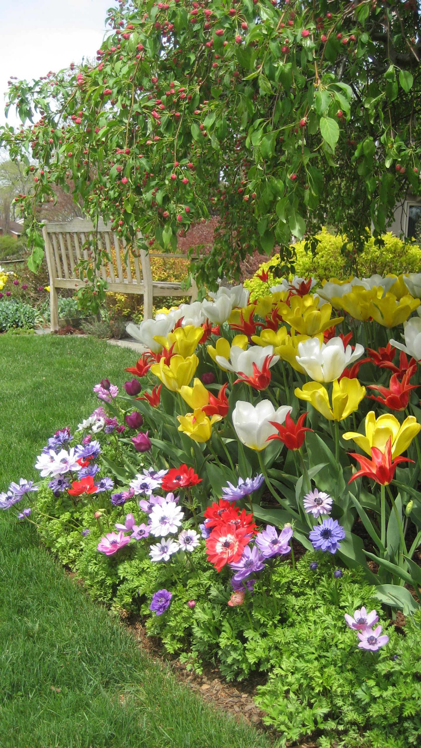 Peter Atkins and Associates specializes in Spring and Summer Bulb Gardens