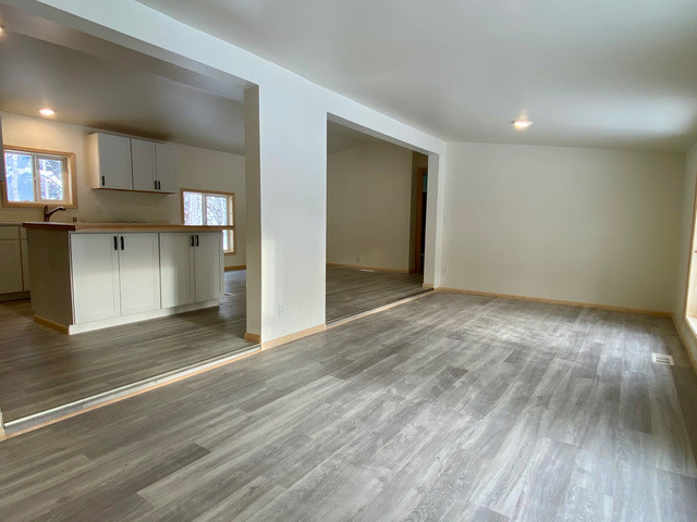 Full House Remodel