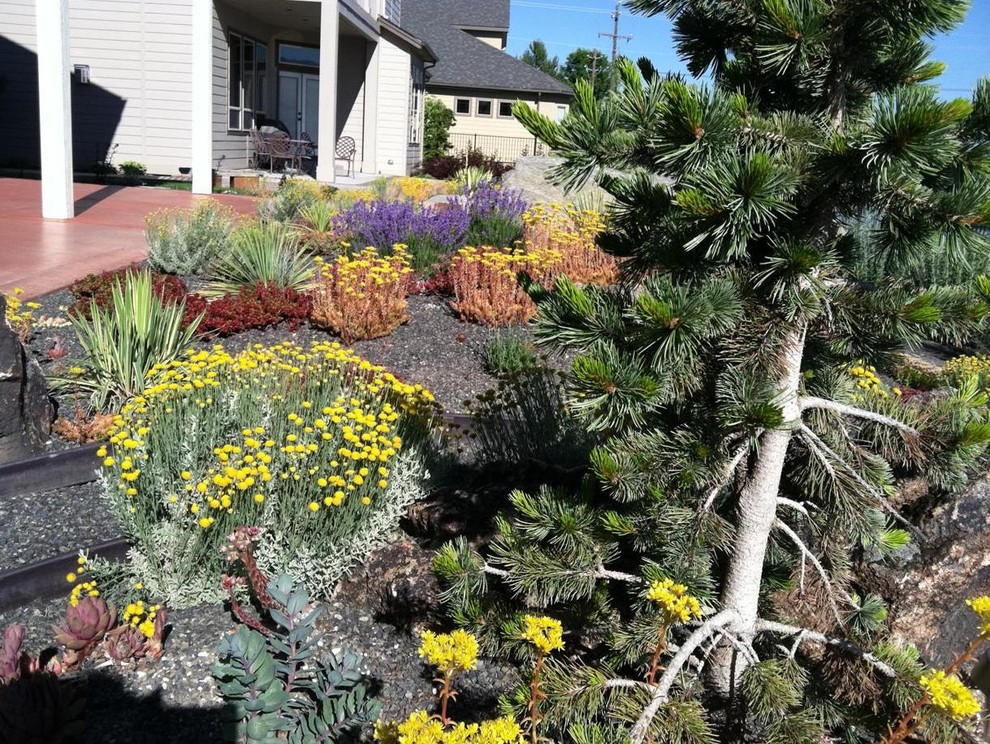 Inspiration for a large contemporary backyard full sun xeriscape in Boise.