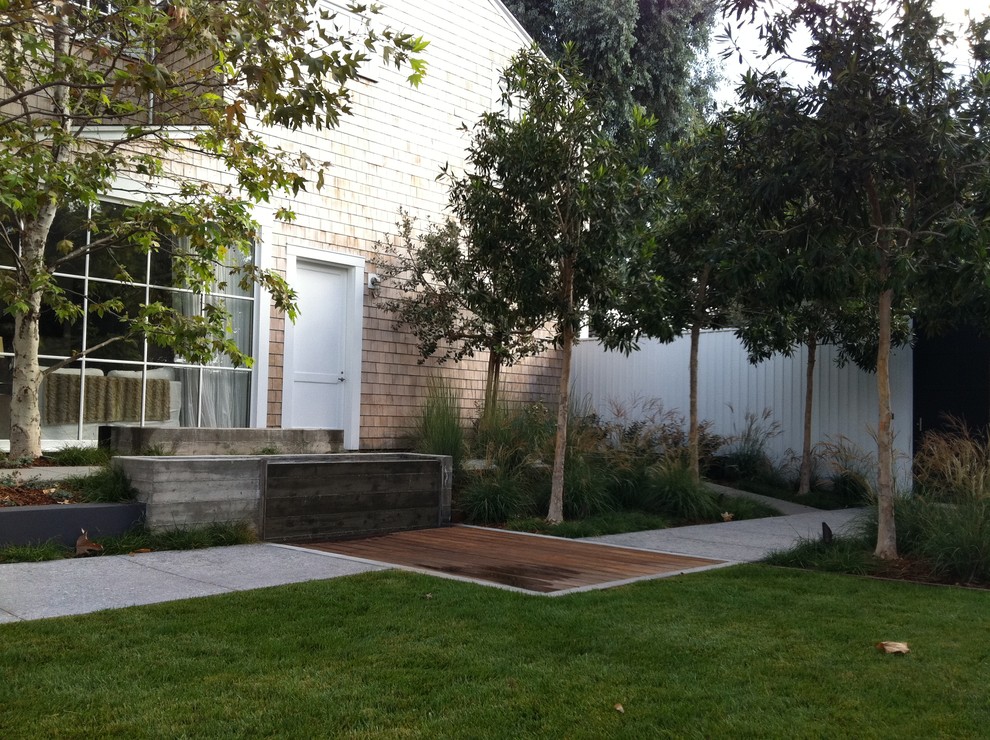 This is an example of a contemporary backyard garden in Los Angeles.