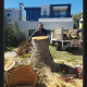 Aggies Tree Service