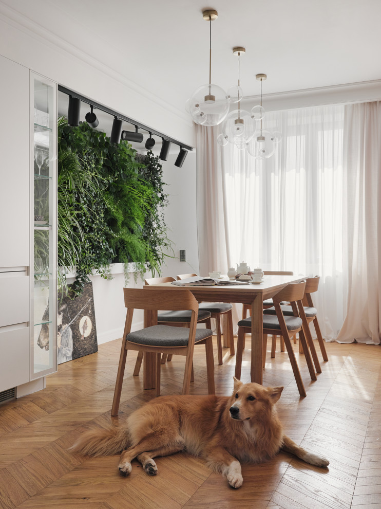Inspiration for a scandinavian dining room remodel in Saint Petersburg
