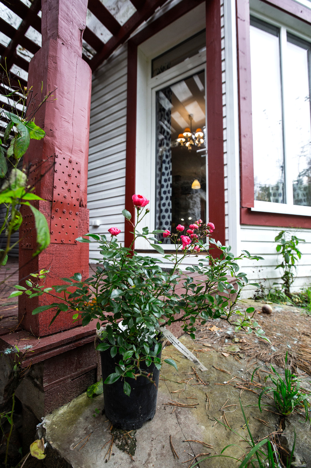 Старенькая дача в умелых руках.