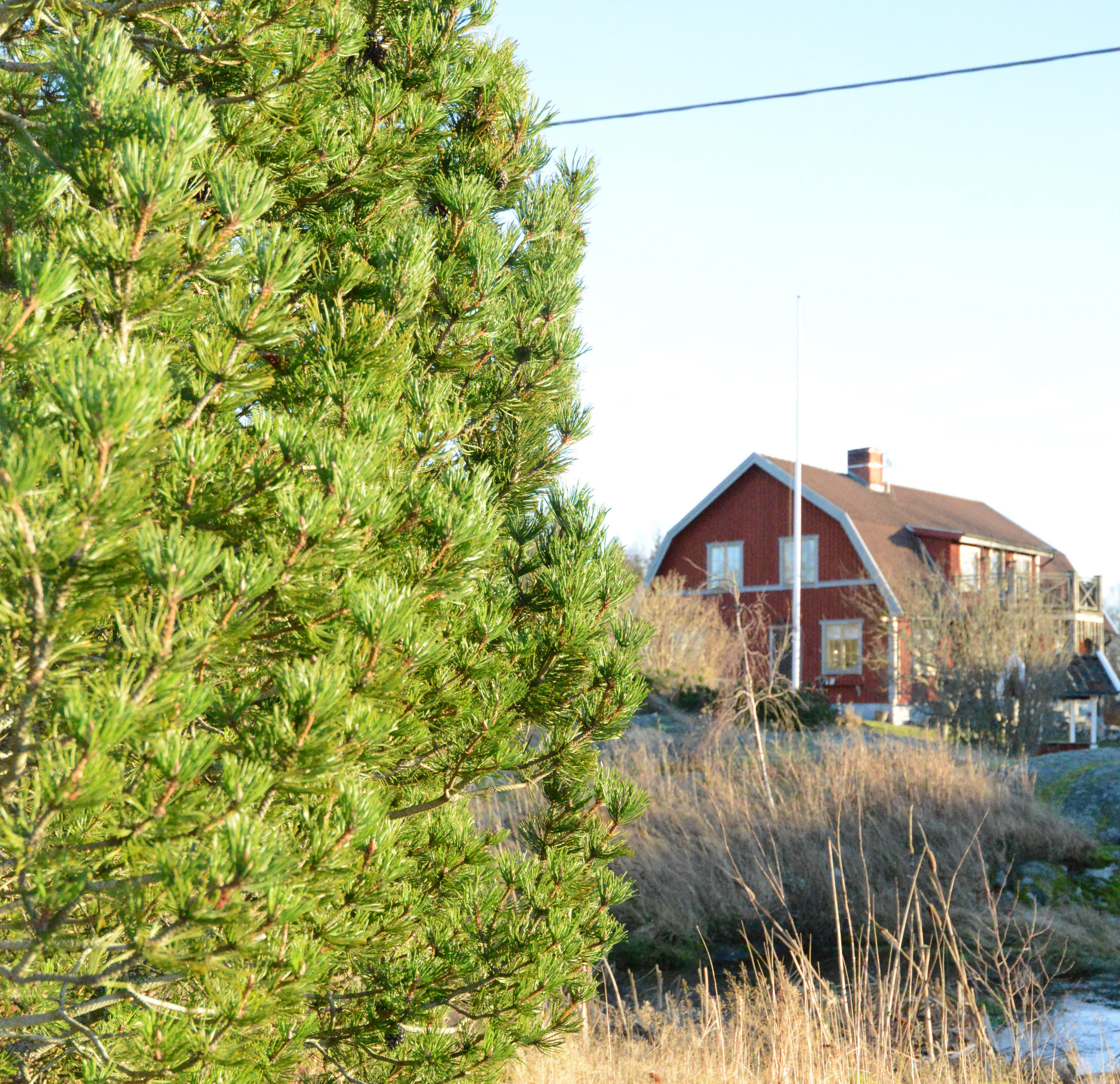 Яркие аценты в светлом скандинавском интерьере загородного дома | Houzz  Россия