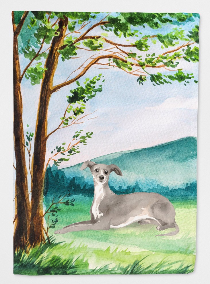 italian greyhound mass