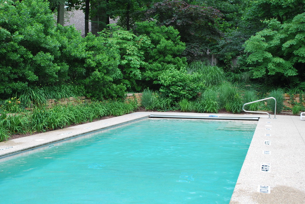 Pool - rustic pool idea