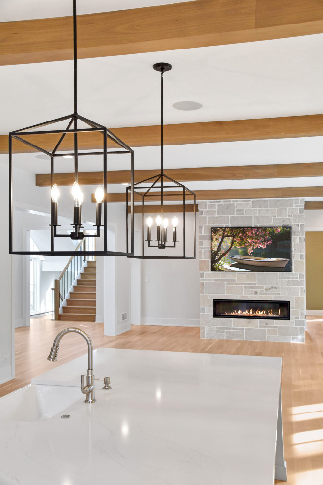 Kitchen - transitional kitchen idea in Chicago