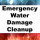 Emergency Water Damage Cleanup Southfield