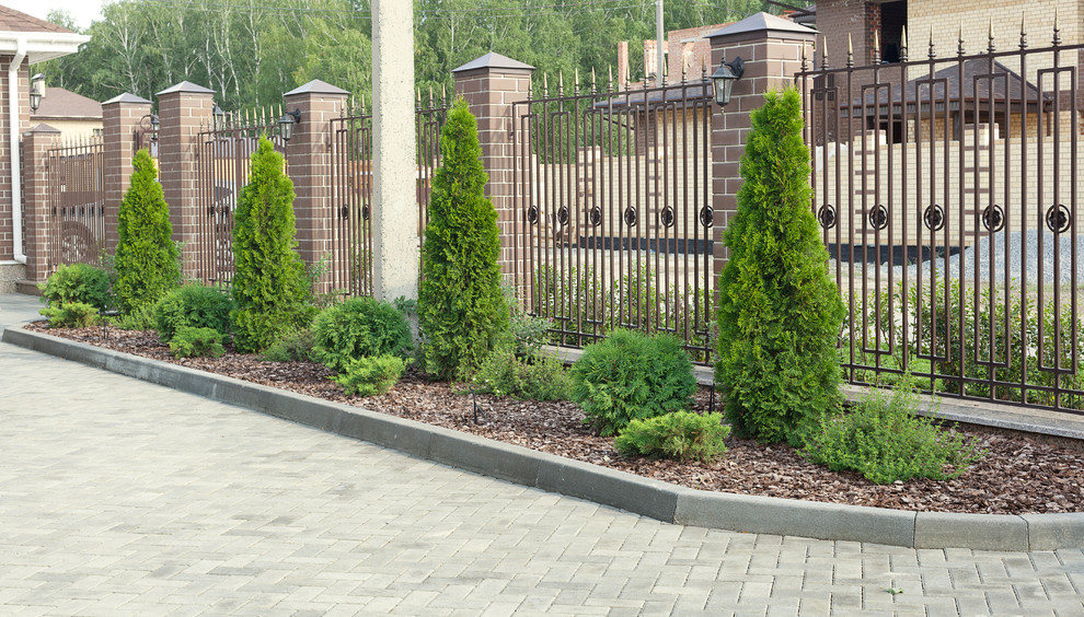 Вавиловец 1