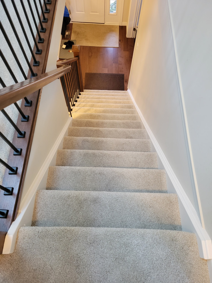 Design ideas for a transitional carpeted straight staircase in Other with carpet risers and mixed railing.