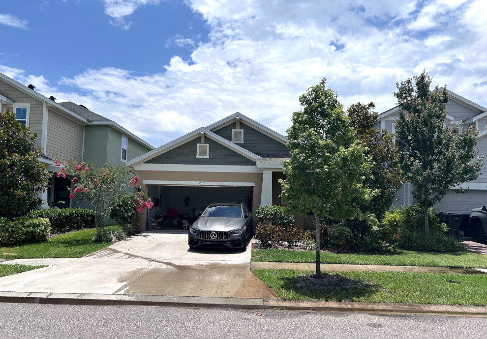 HOA Approved Tree Installation
