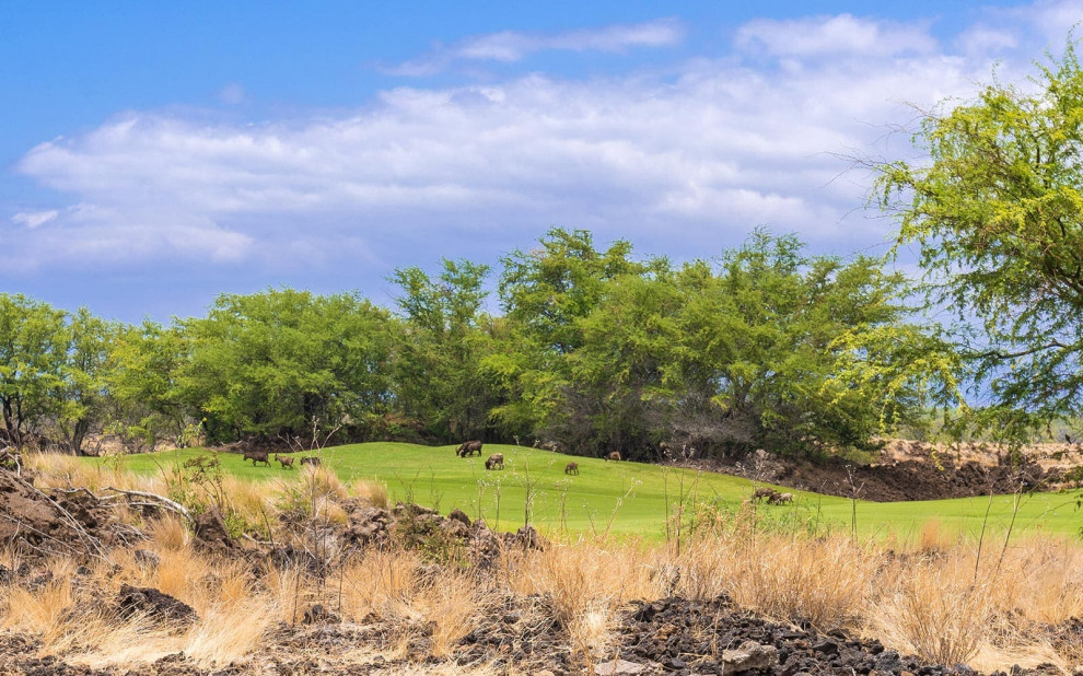 KaMilo at Mauna Lani on The Big Island of Hawaii