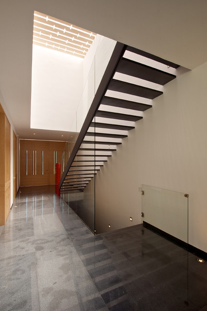 Casa V contemporary
