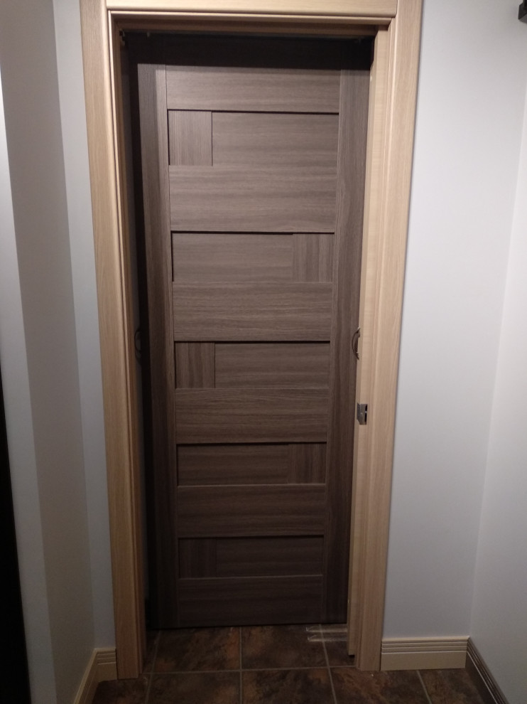 Interior door "DOMINO'', gray, with. glasses, 30"x 80"