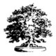 Distinctive Designs Group