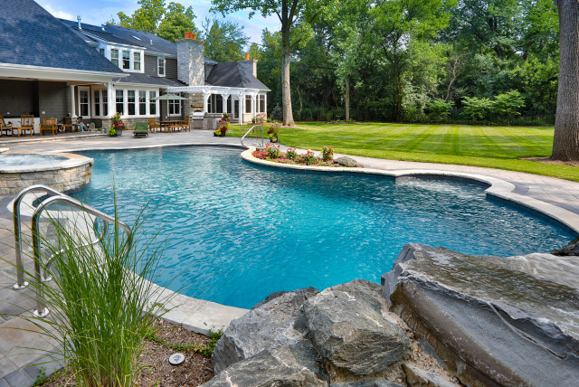 Naperville Il Freeform Swimming Pool With Raised Hot Tub Traditional