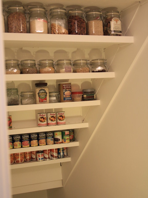 Under-Stair Storage Project contemporary-staircase