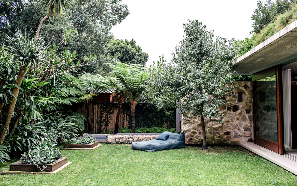 Photo of an expansive contemporary backyard partial sun garden in Sydney with a retaining wall.