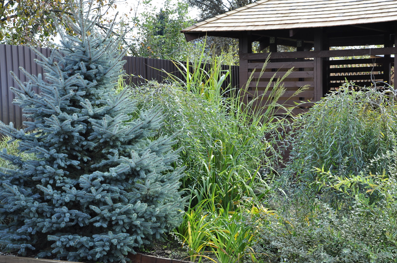 д. Коровино - Уход за садом - 100% качество