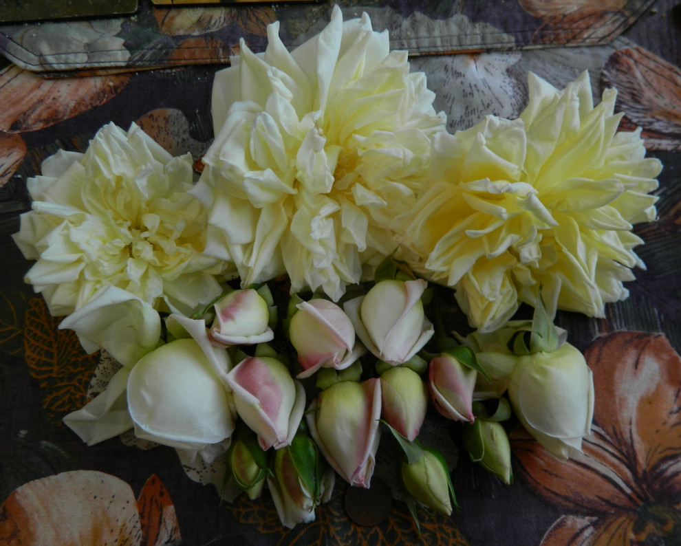 Jesse Hildreth first spring flowers...