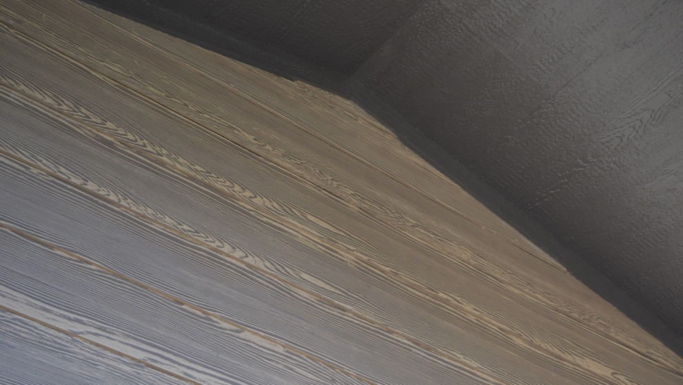 Photo of a contemporary grey exterior in Other with concrete fiberboard siding.