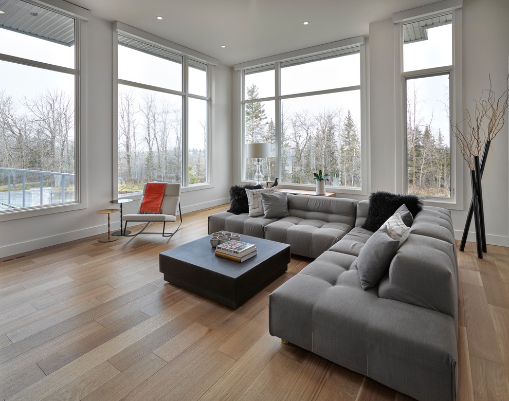 Design ideas for a modern living room in Edmonton.