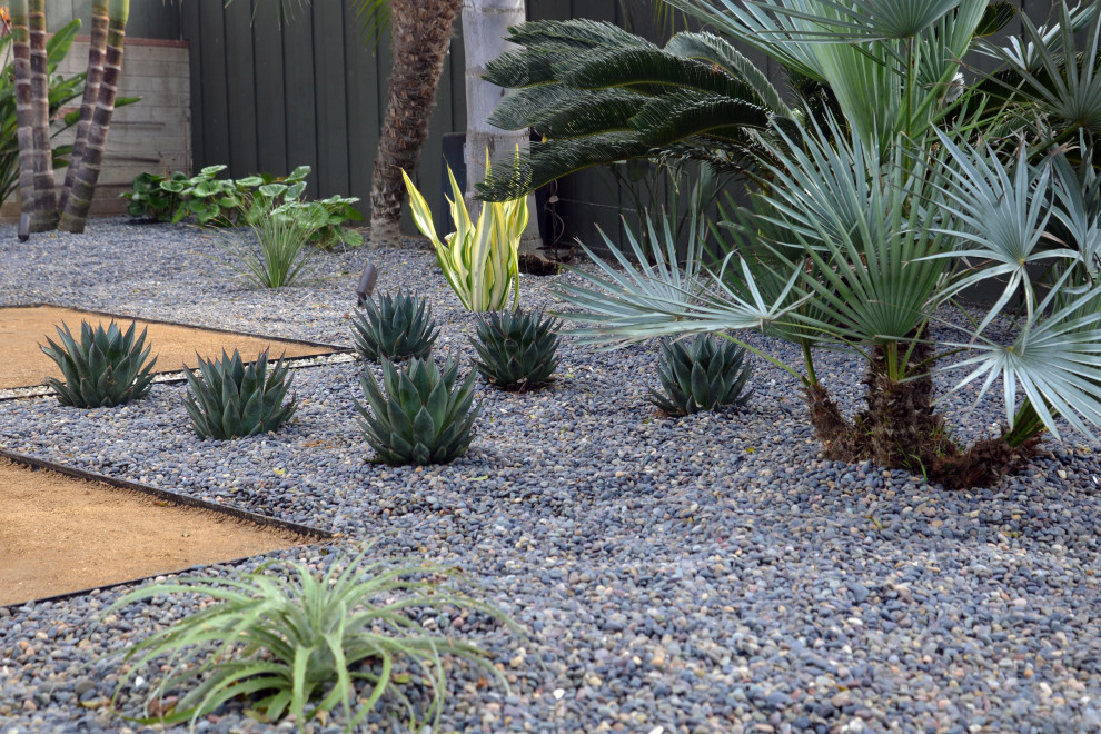 Photo of a mid-sized and desert look arts and crafts backyard partial sun xeriscape in San Diego with river rock.