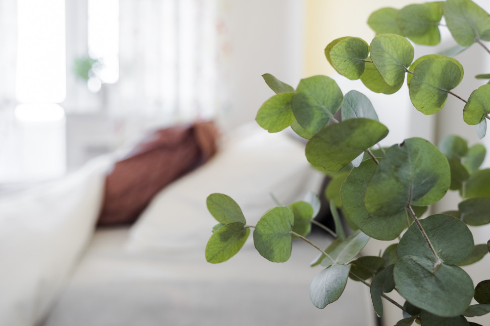 Квартира для молодой семьи