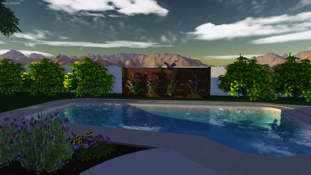 Idee per una grande piscina moderna personalizzata dietro casa con paesaggistica bordo piscina e pavimentazioni in cemento