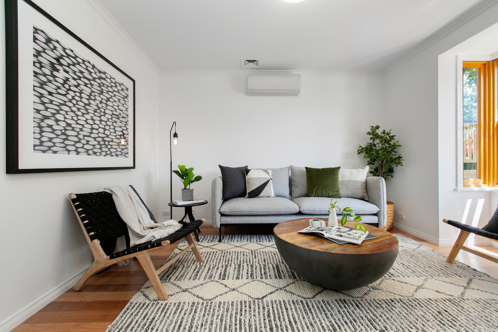 Design ideas for a small contemporary enclosed living room in Hobart with white walls, medium hardwood floors and brown floor.