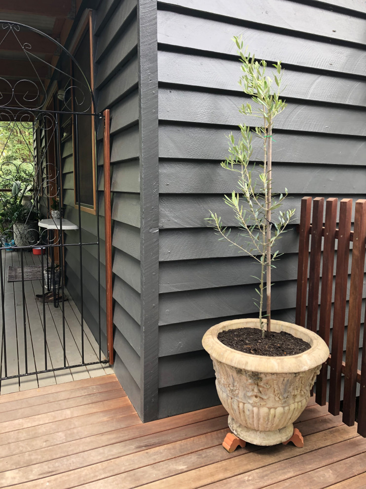 Kleiner Eklektischer Eingang mit schwarzer Wandfarbe, braunem Holzboden, Einzeltür, hellbrauner Holzhaustür und freigelegten Dachbalken in Sunshine Coast
