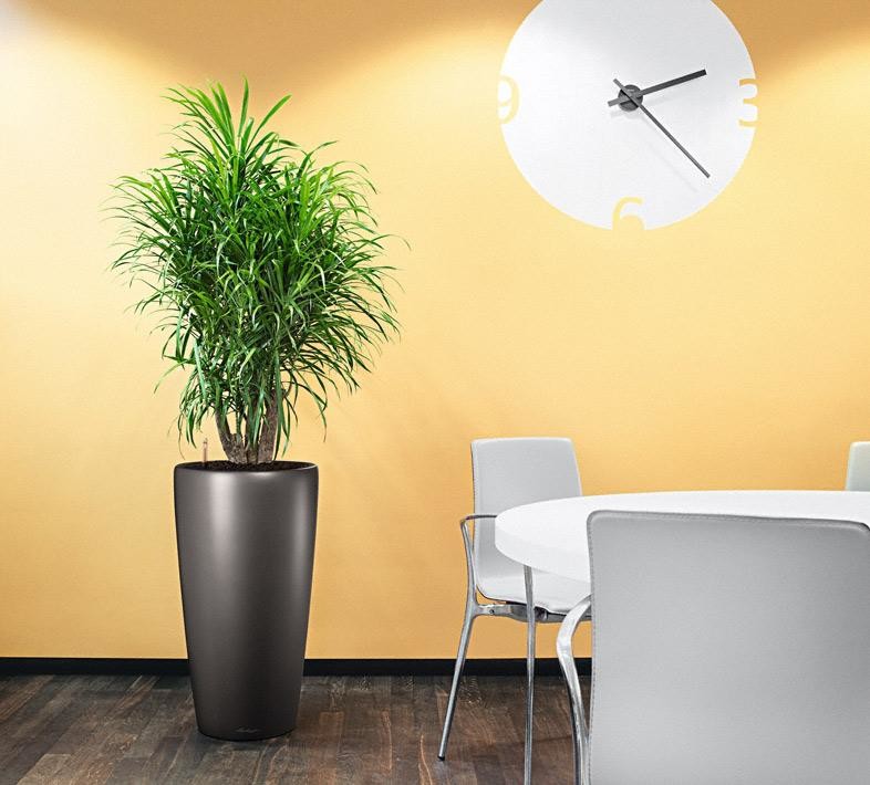 Уникальные и элегантные