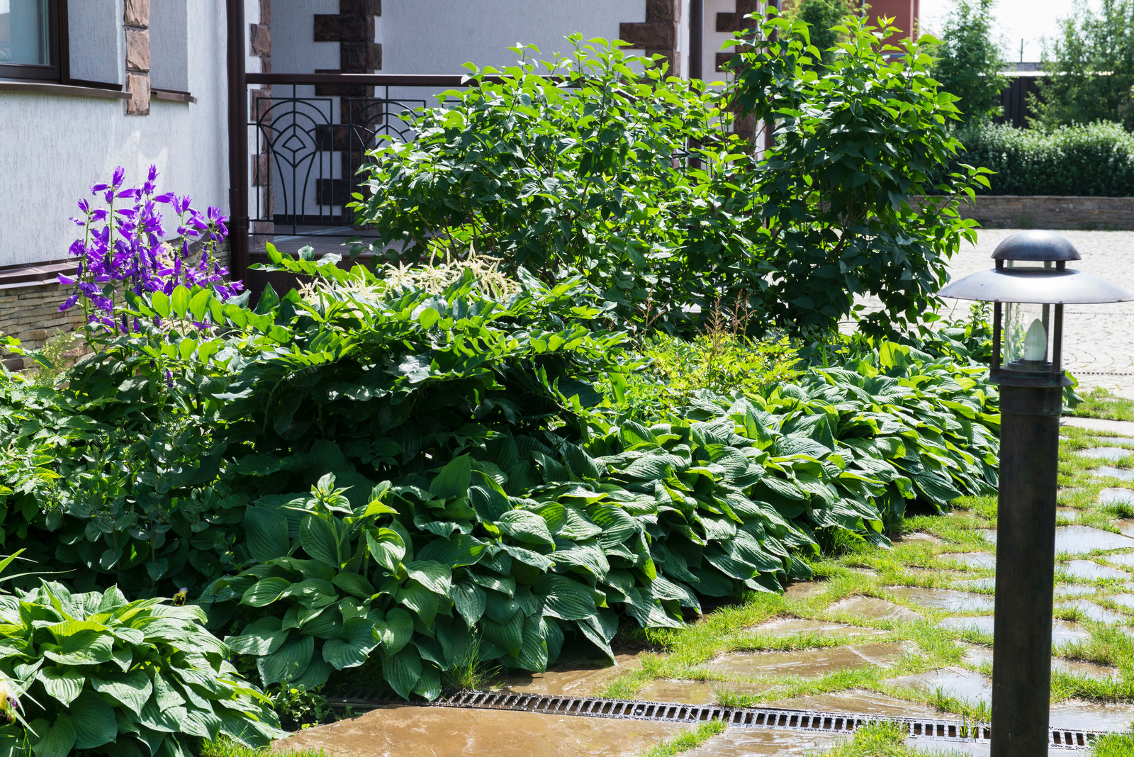 Маленький сад в пригороде