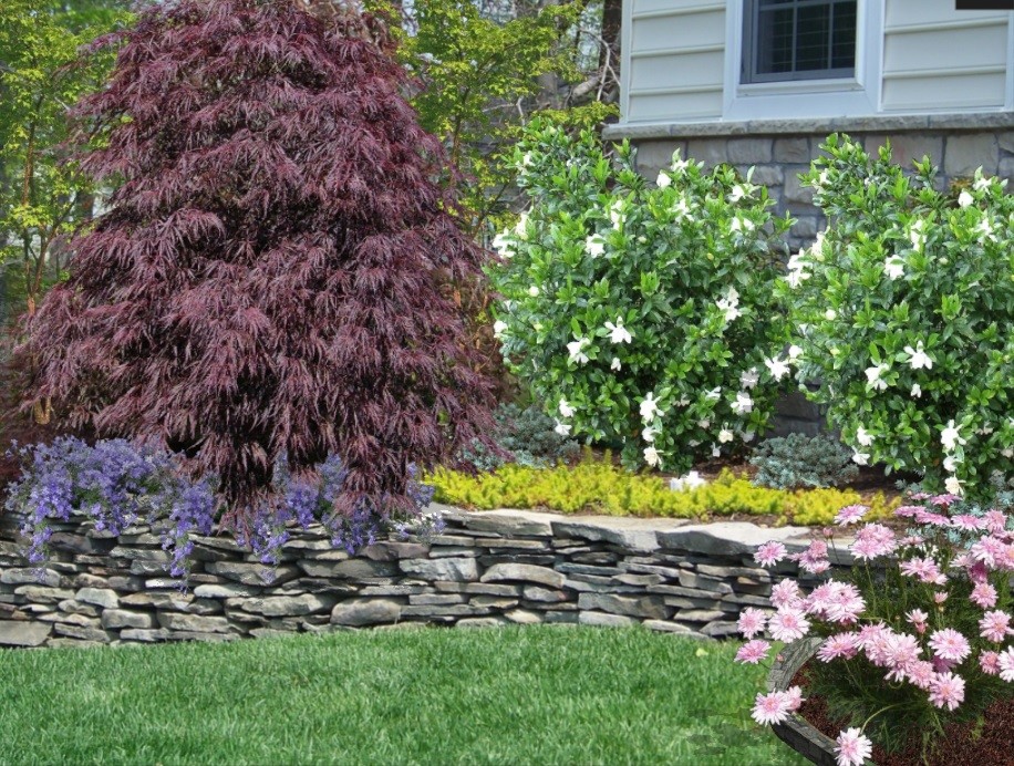 Foundation Plantings