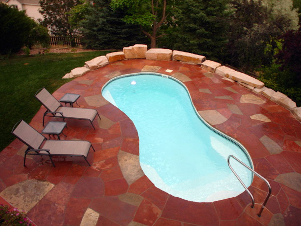 Small contemporary backyard kidney-shaped pool in Denver.