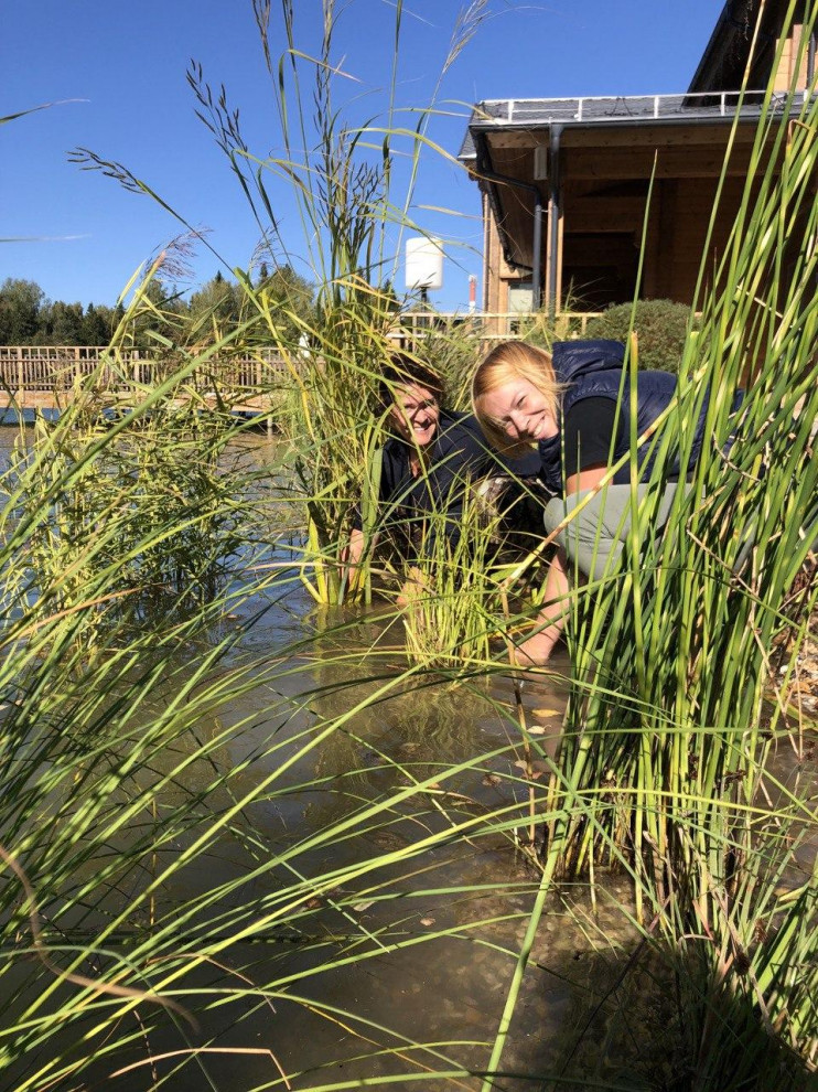 Изумрудный лес