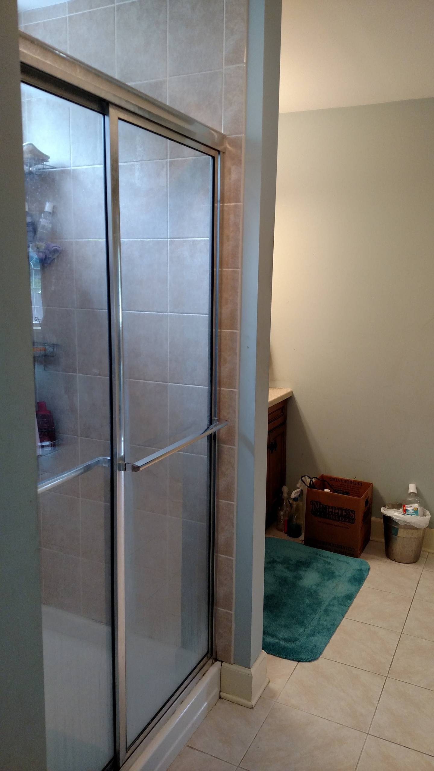 Master Bath Magic Before Photos!