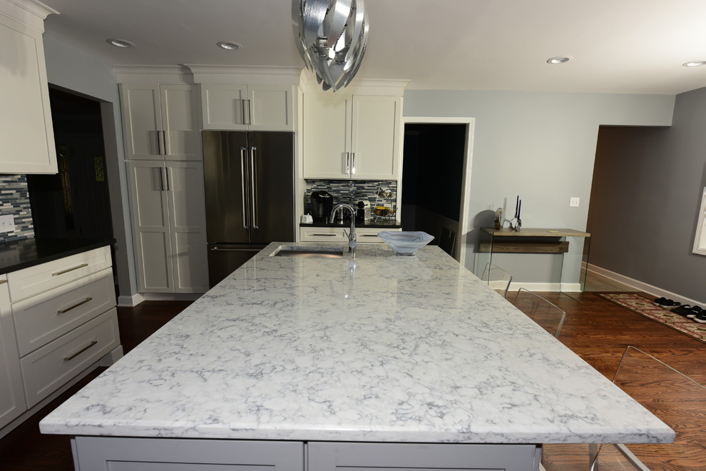 Kitchen - transitional kitchen idea in Chicago