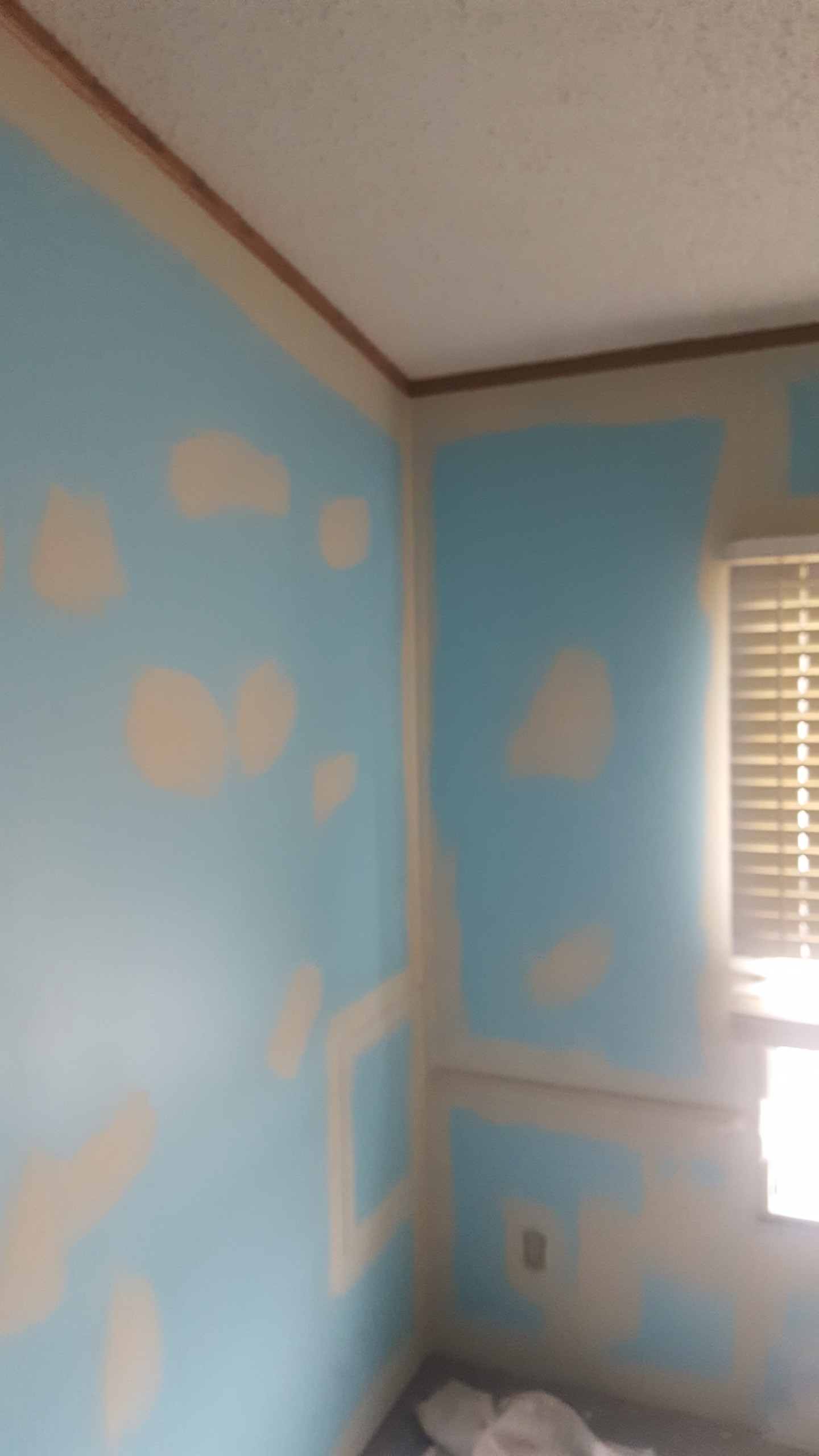 Interior Painting Projects