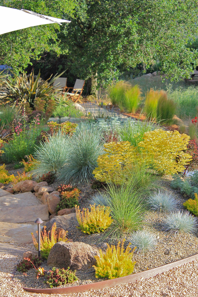 This is an example of a contemporary backyard xeriscape in San Francisco.
