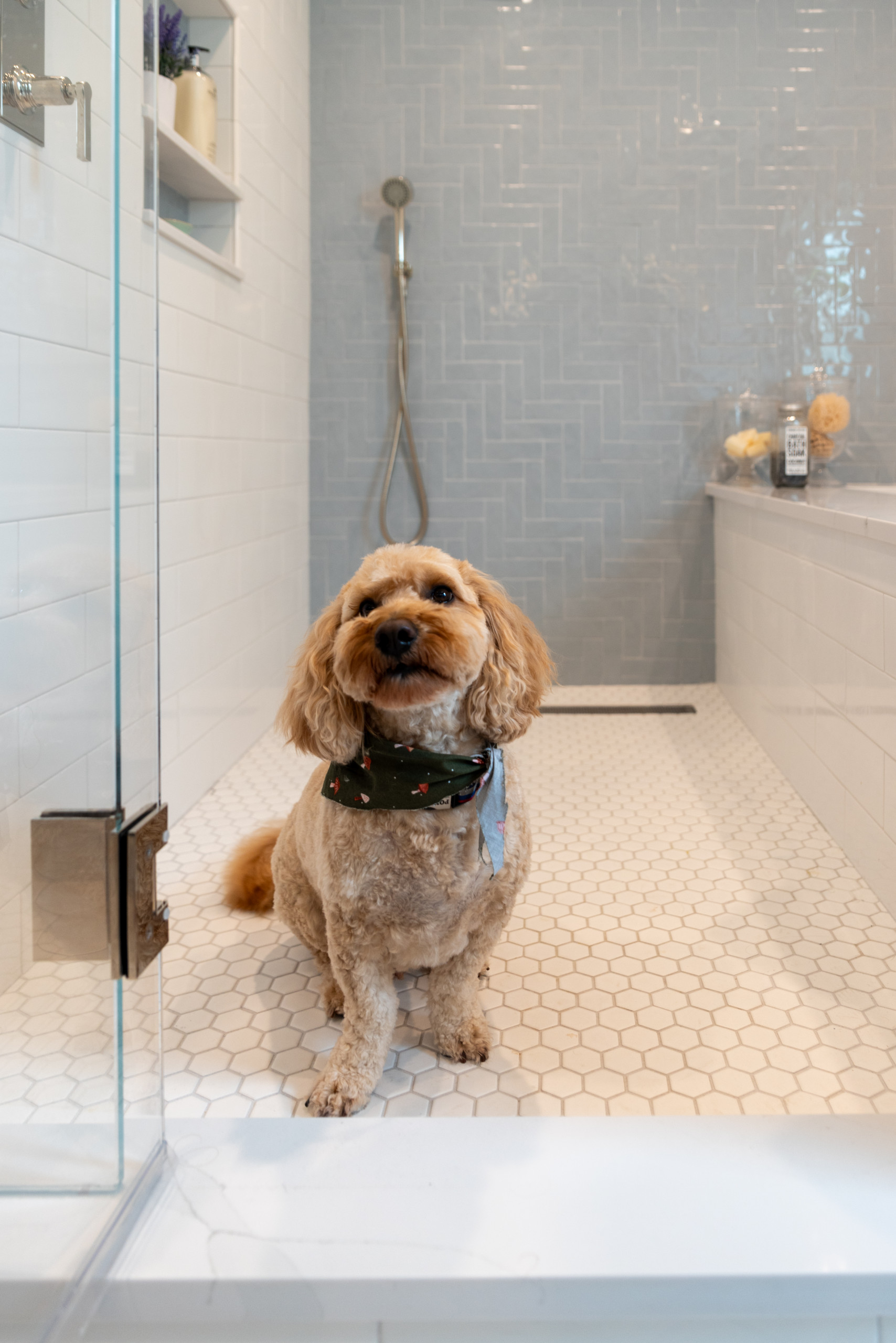 Evanston Primary Bath Transformation