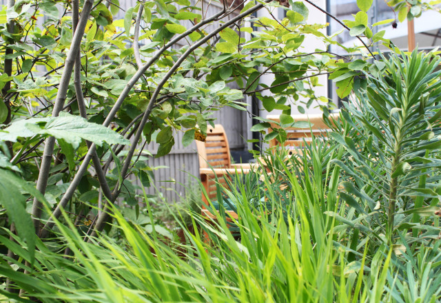 E17 - Secluded Garden Space garden